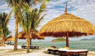 去越南旅游要多少钱