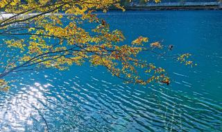 天龙八部秋水无痕剑 天龙八部秋水无痕剑