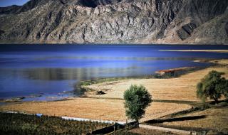 天龙八部秋水无痕剑 天龙八部秋水无痕剑