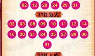 体彩大乐透历史开奖