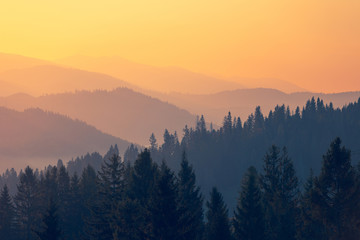 咒术回战辱华石锤了吗 咒术回战主题曲辱华